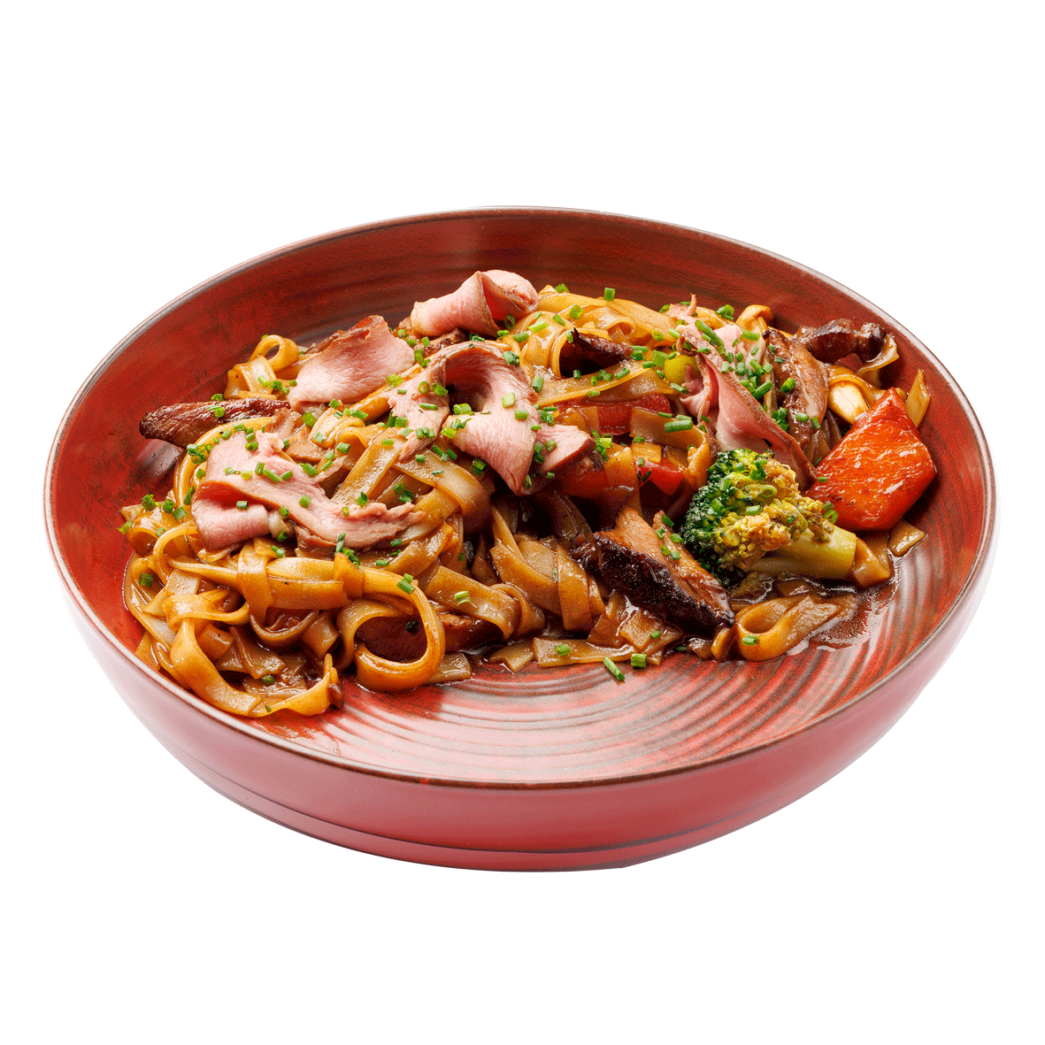 duck-udon